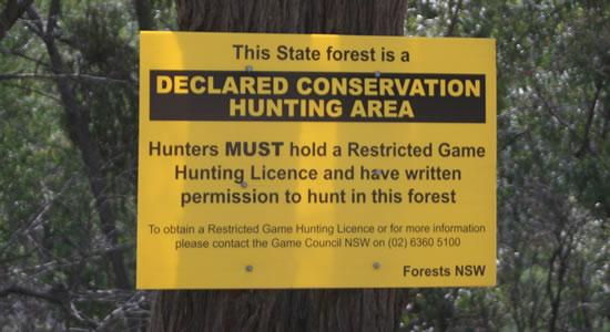 Declared Conservation Hunting Area Forests NSW